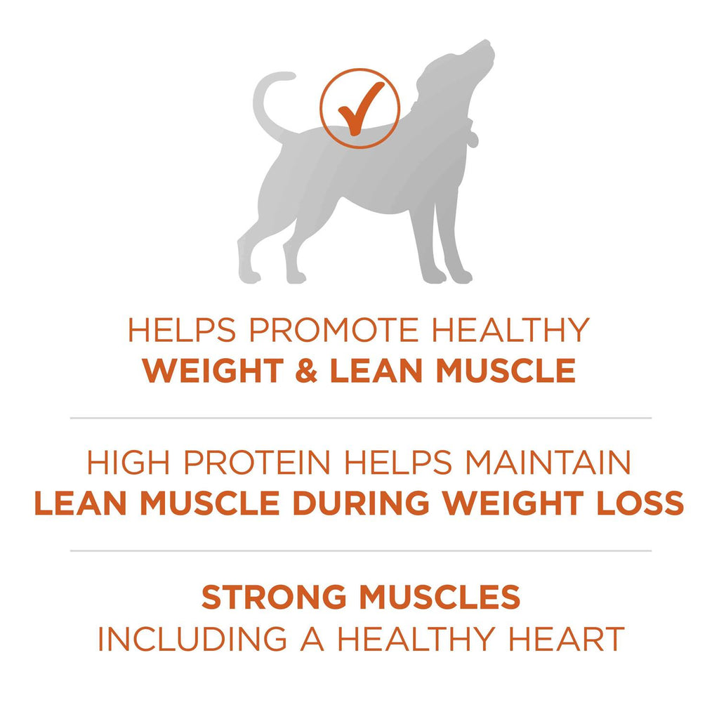 Healthy Weight High Protein Dry Dog Food Q110451