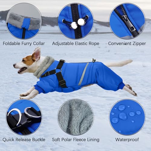 Black Dog Winter Jacket with Harness P5997
