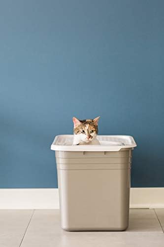 Top Entry Cat Litter Box With Filter Lid W622