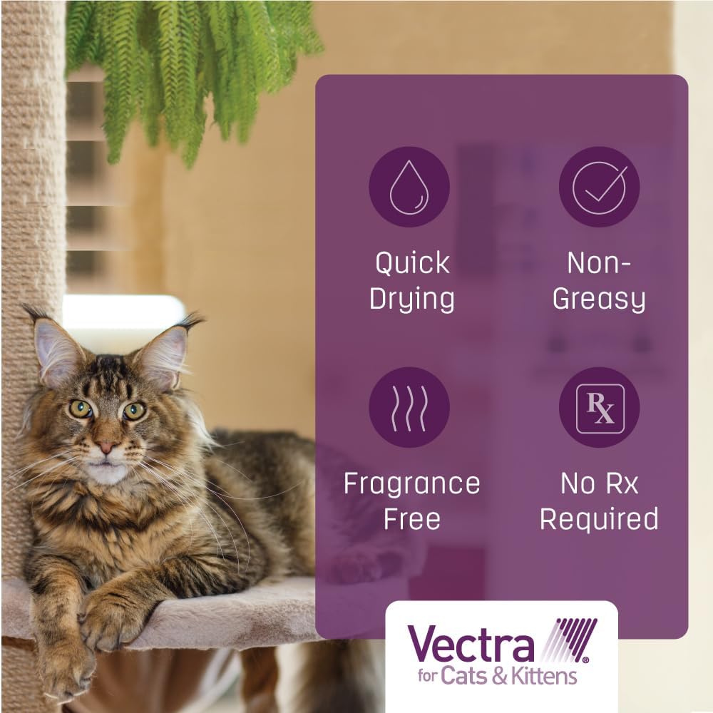 3-Month Supply Flea Treatment for Small Cats (2-9 lbs.) D87225