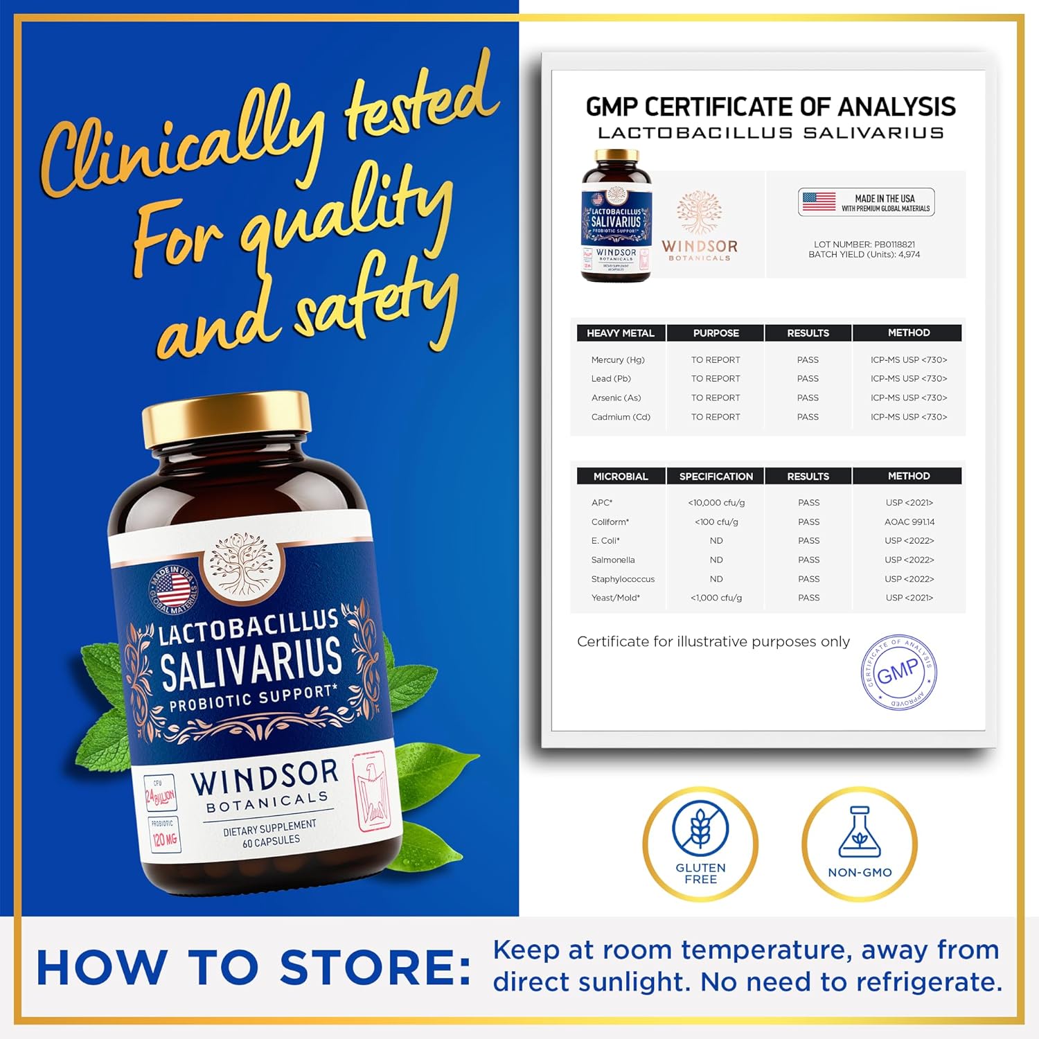 L Salivarius Probiotic Capsules, 24bn CFU, 60 Caps O1834