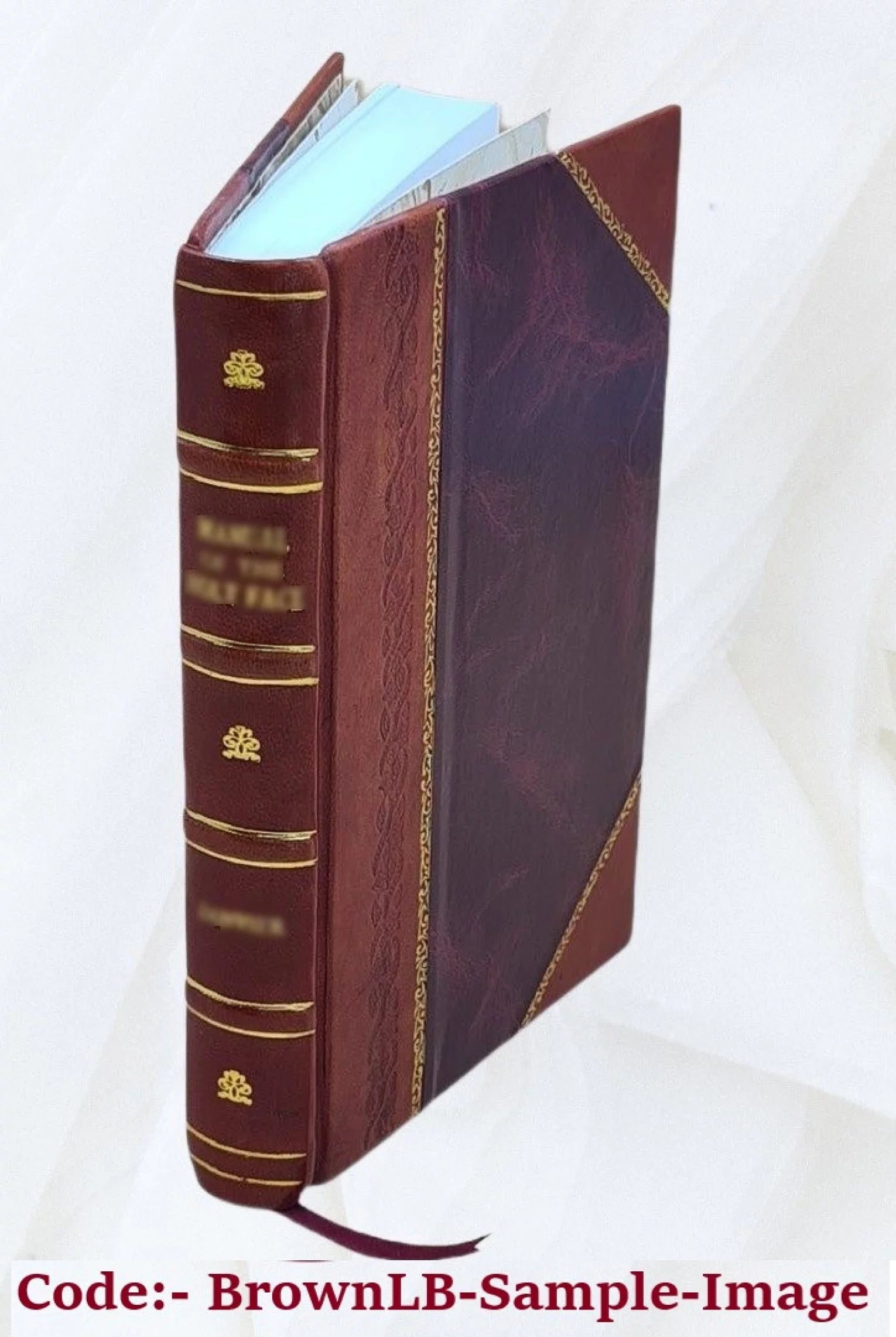 Leather Bound Book I4928