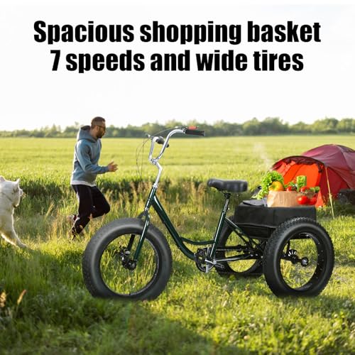 20 Inch 7 Speed Adult Tricycle with Double Disc Brake G990204