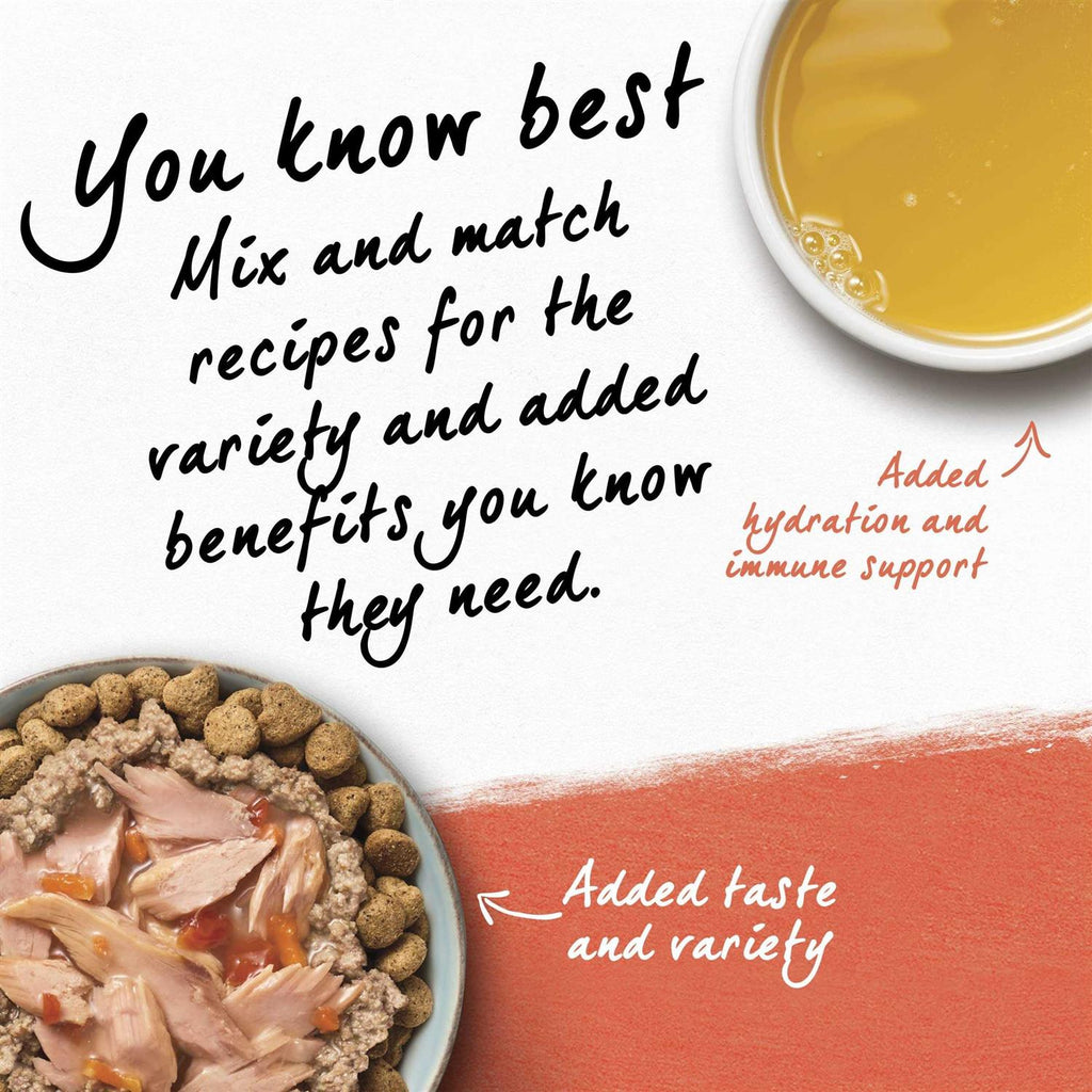 Organic Chicken Recipe Wet Dog Food X245527