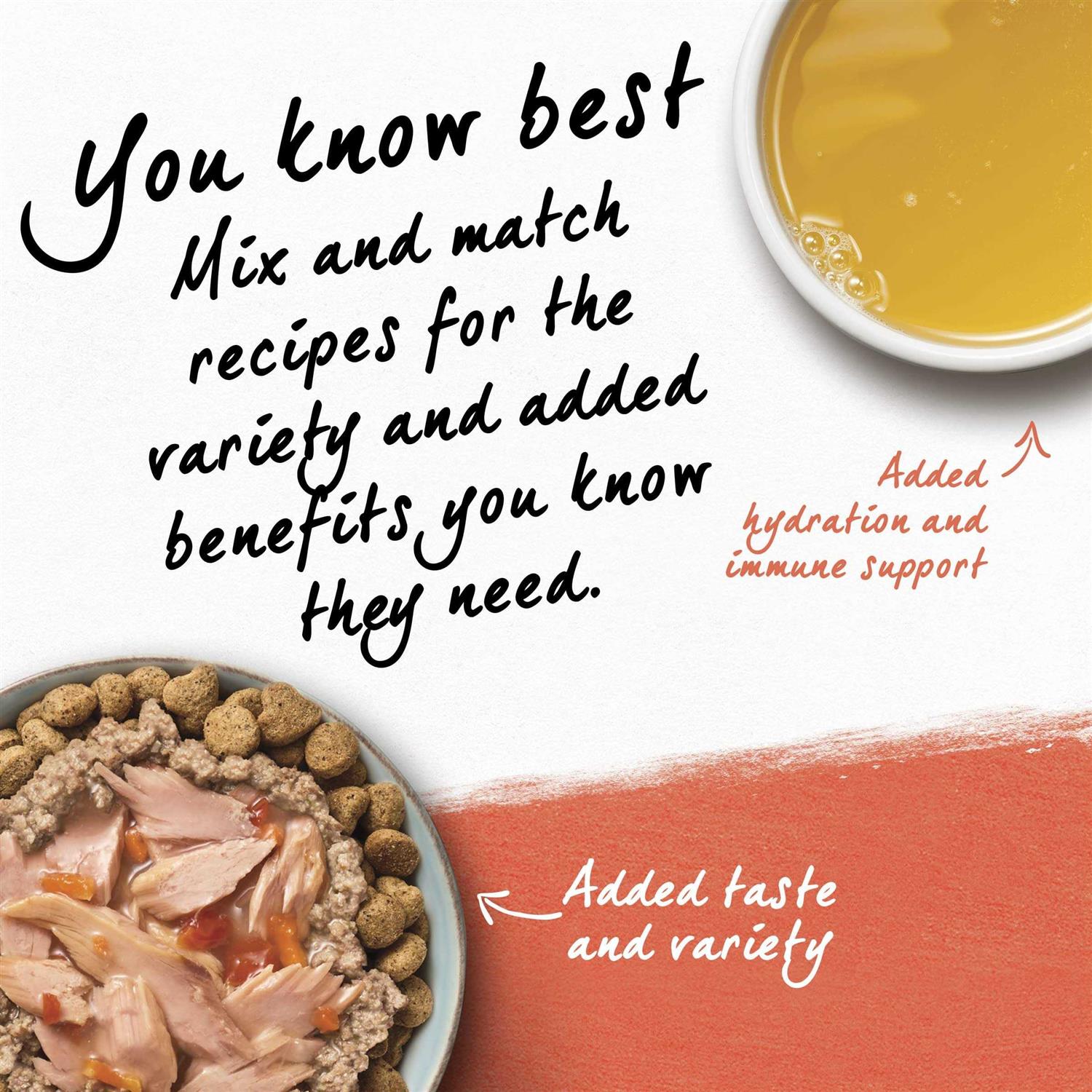 Organic Chicken Recipe Wet Dog Food X245527