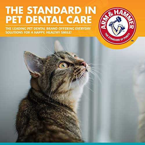 Fresh Breath Dental Kit for Cats P680