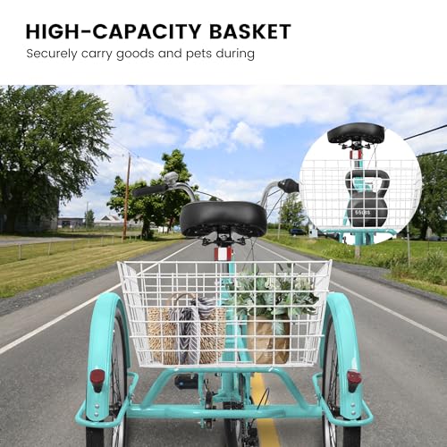 24 Inch 3 Wheel Carbon Steel Tricycle B916348