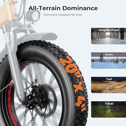 Foldable Fat Tire Electric Bike with 48V 12.5Ah Removable Battery O2669