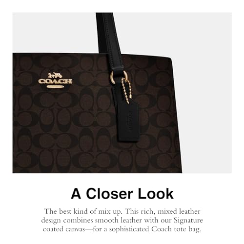 Brown Black Carryall F841