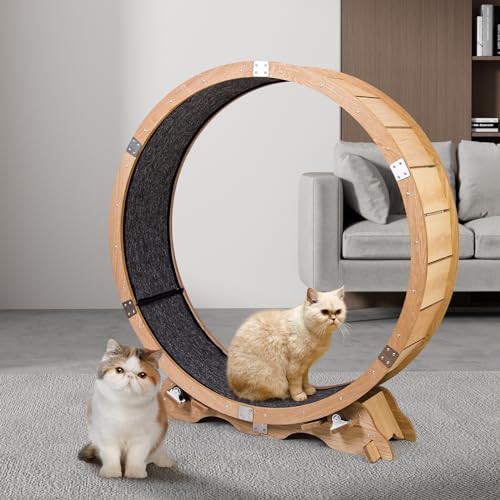 Maple Wood Cat Exercise Wheel F201