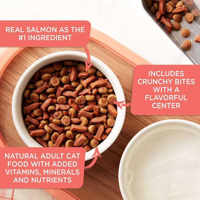 Savory Bites Dry Cat Food U4082