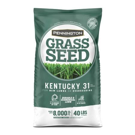 40 lbs. Tall Fescue Grass Seed A798