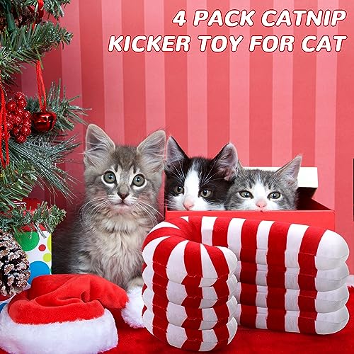 4 Pcs 8 Inch Catnip Cat Chew Toy J112890