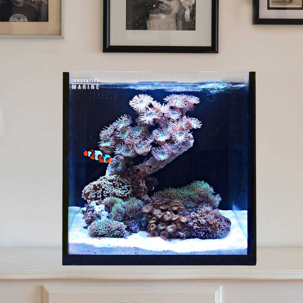 15 Nuvo Fusion AIO Cube Aquarium T140814