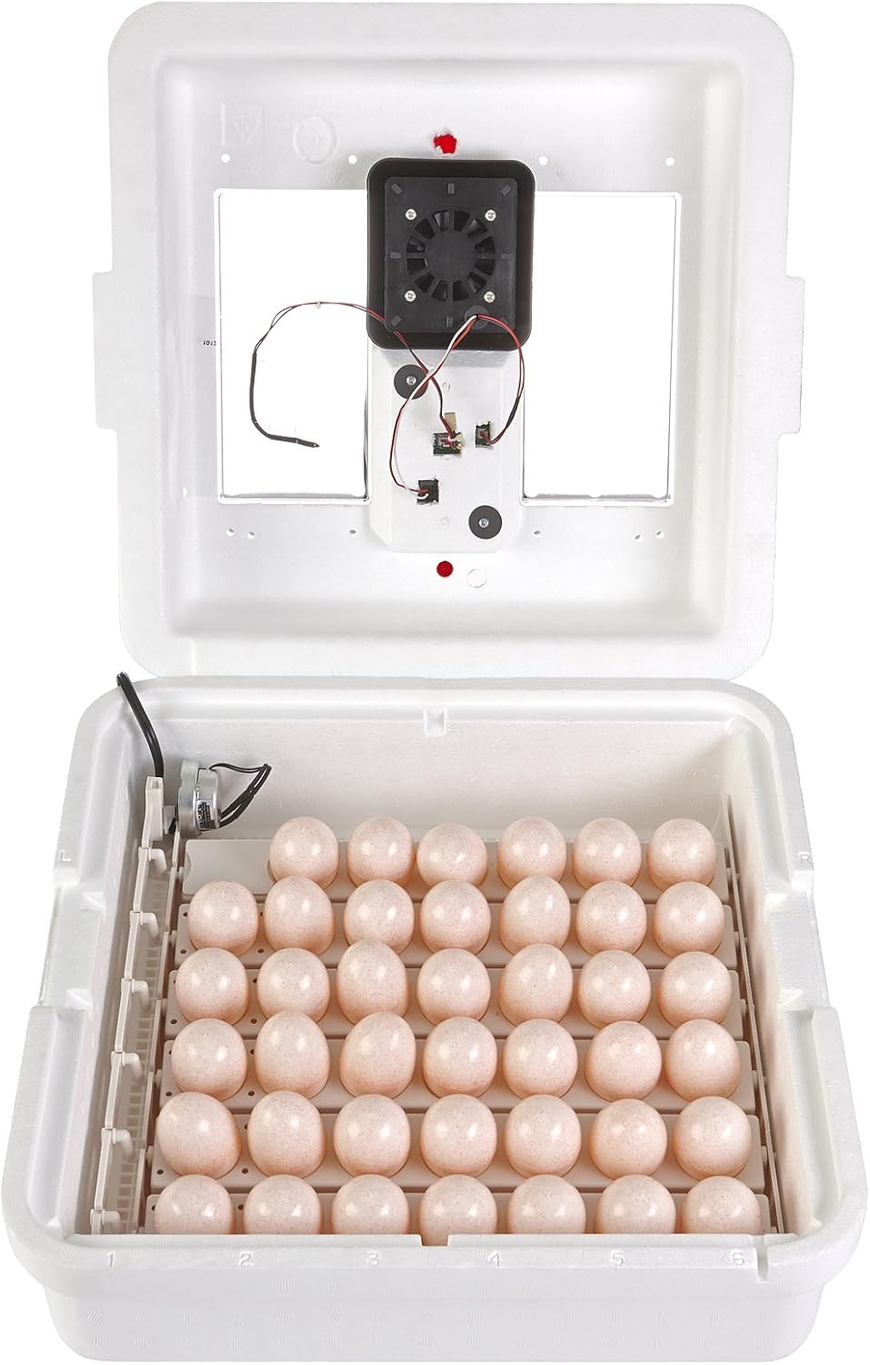 41 Egg Incubator with Fan and Temperature and Humidity Control G899611