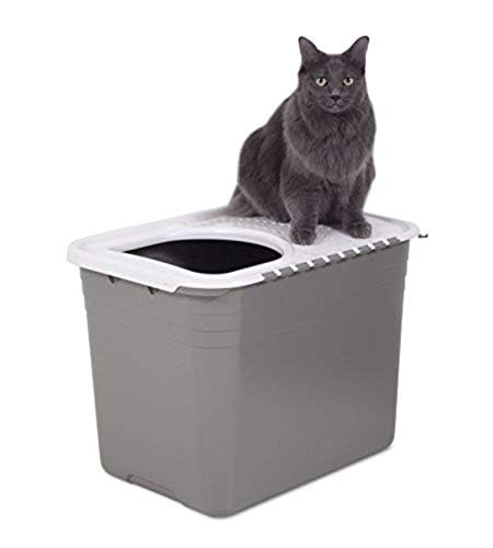 Top Entry Cat Litter Box With Filter Lid W622