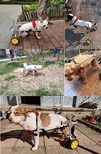Pet Wheelchair for Dogs with Wheels H126
