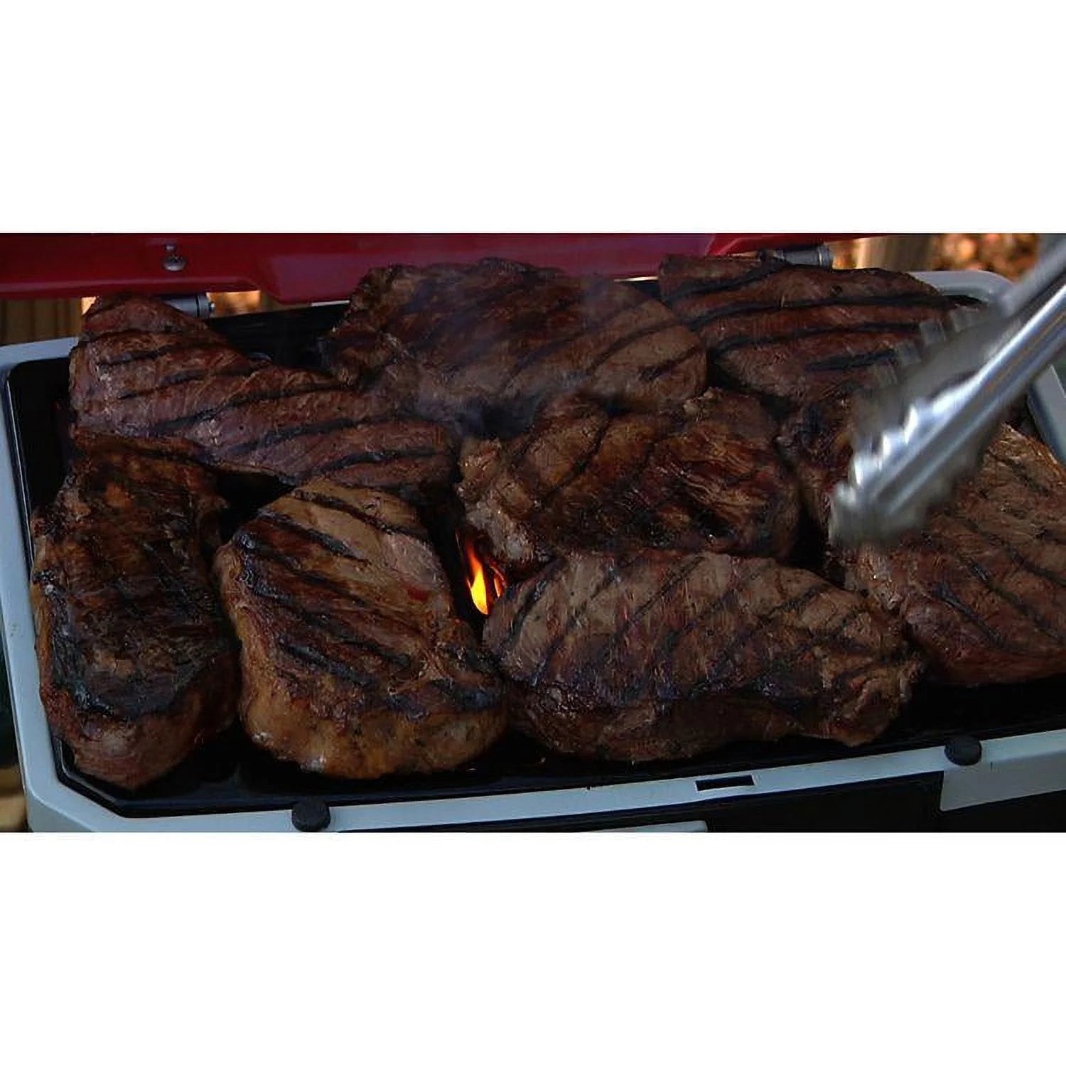 Portable LP Gas Grill J383