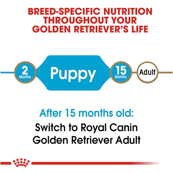 Golden Retriever Puppy Dry Dog Food U33682