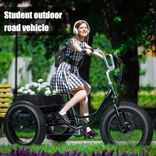 20 Inch 7 Speed Adult Tricycle with Double Disc Brake G990204