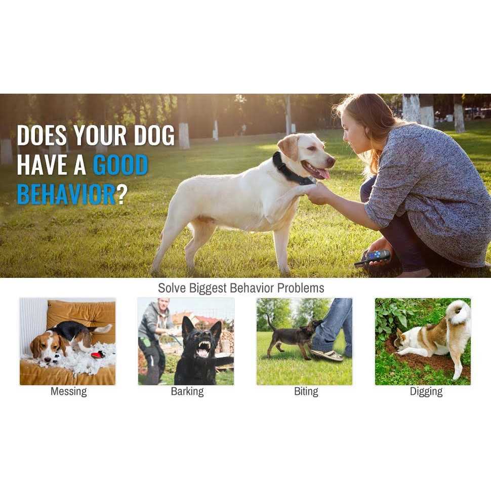 Rechargeable Dog Training Collar with Remote U484470