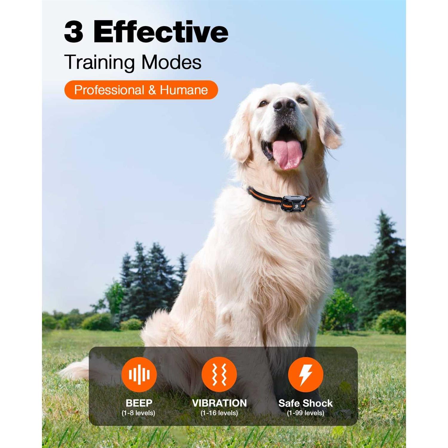 Dog Training Collar with Remote D587
