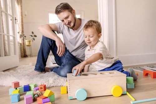 70 Piece Solid Wood Building Blocks with Storage Box S66276