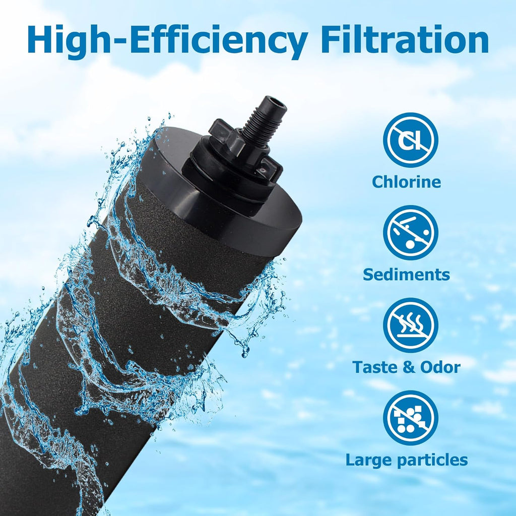 Black Activated Carbon Filters, Pack of 2 W879