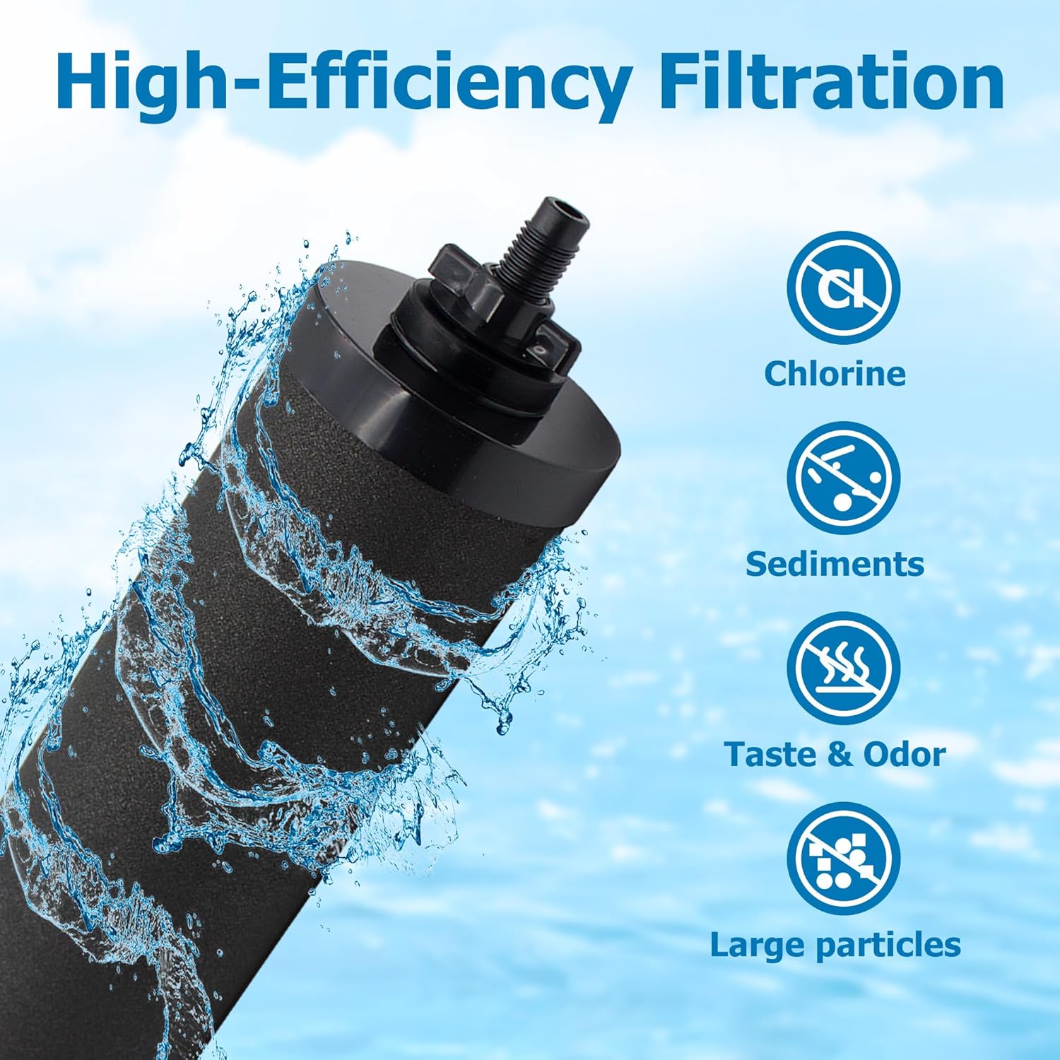 Black Activated Carbon Filters, Pack of 2 W879