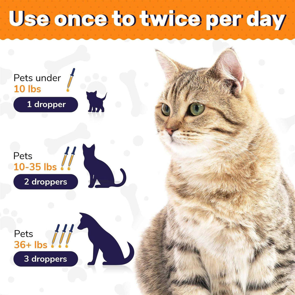 Probiotics for Dogs and Cats N746189