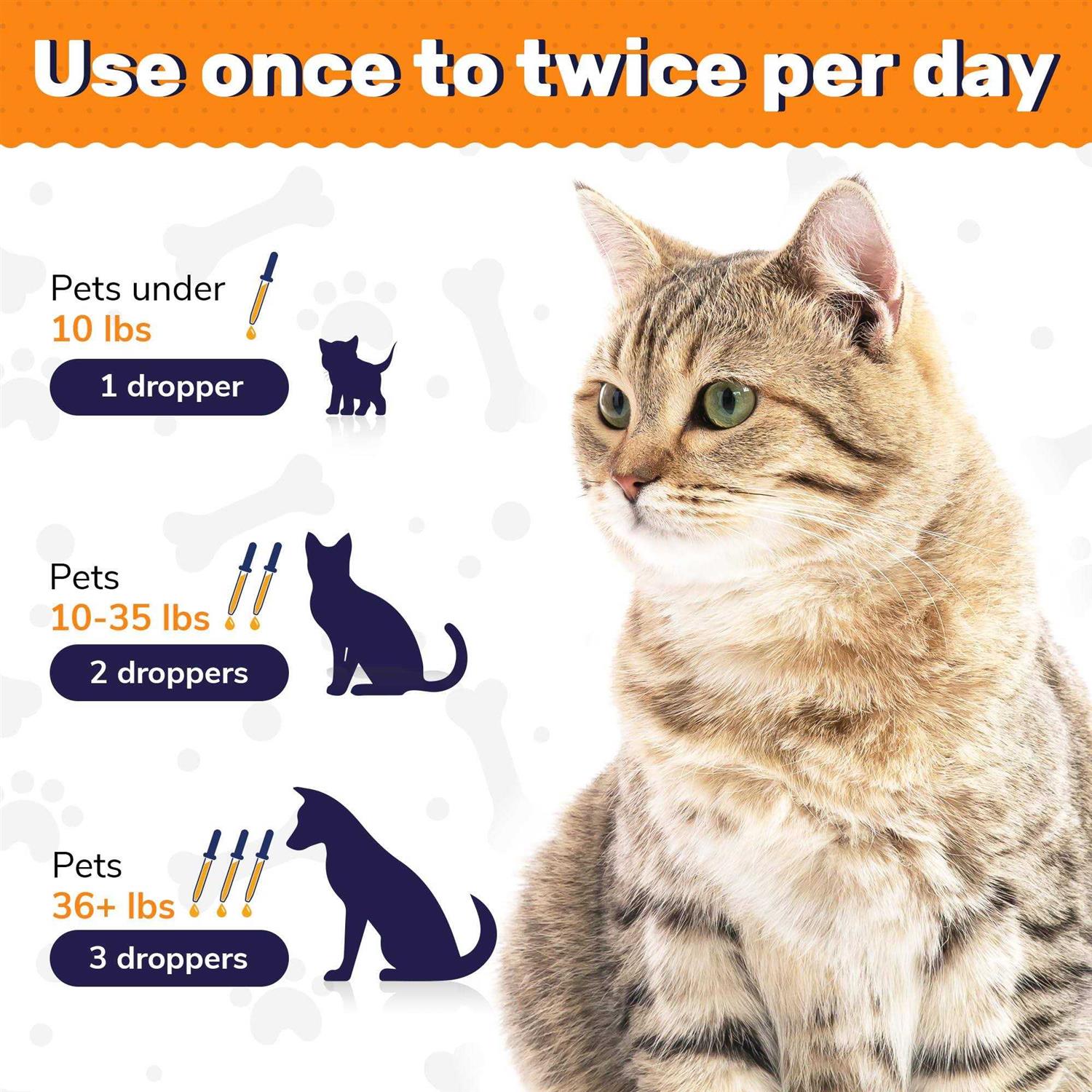 Probiotics for Dogs and Cats N746189