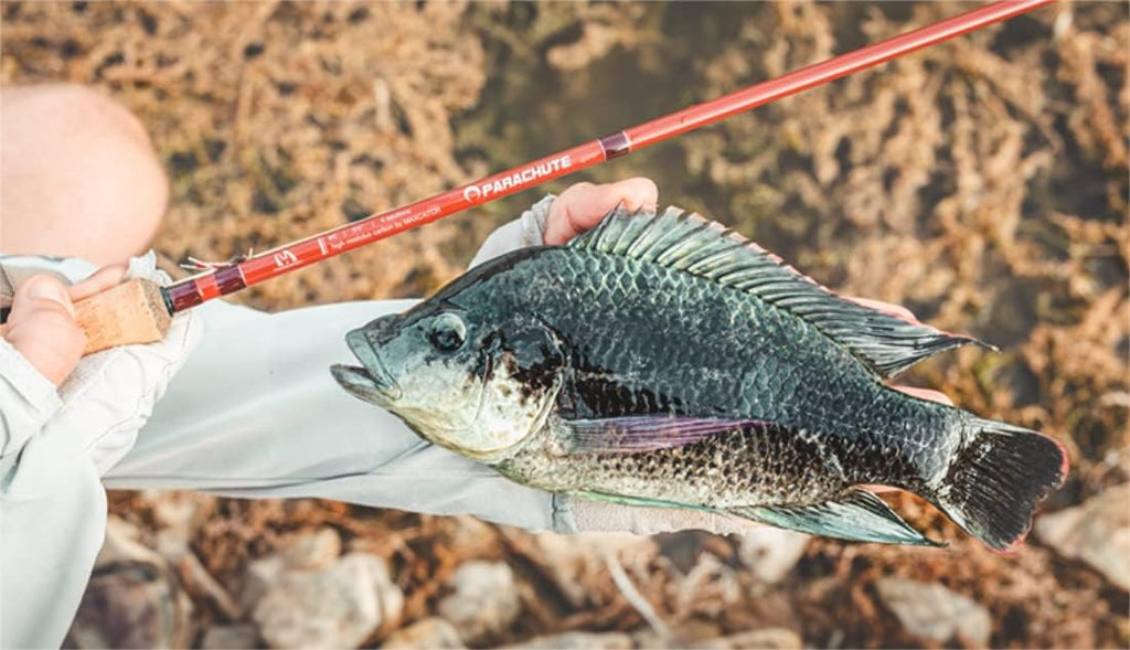 4 Piece 9ft 5wt Graphite Carbon Fiber Fast Action Fly Fishing Rod V659
