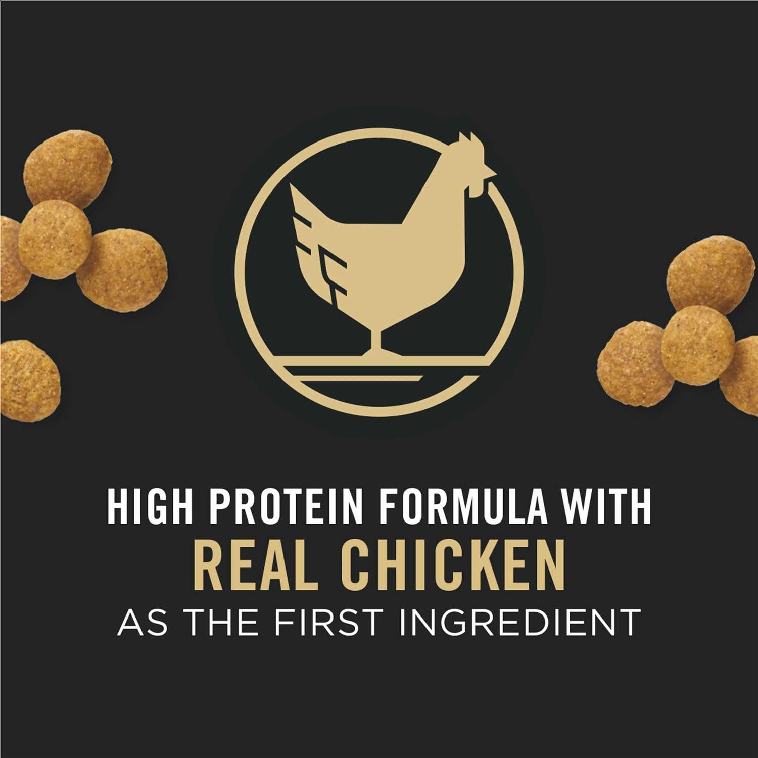 Chicken & Rice Formula Large Breed Dry Puppy Food M43343