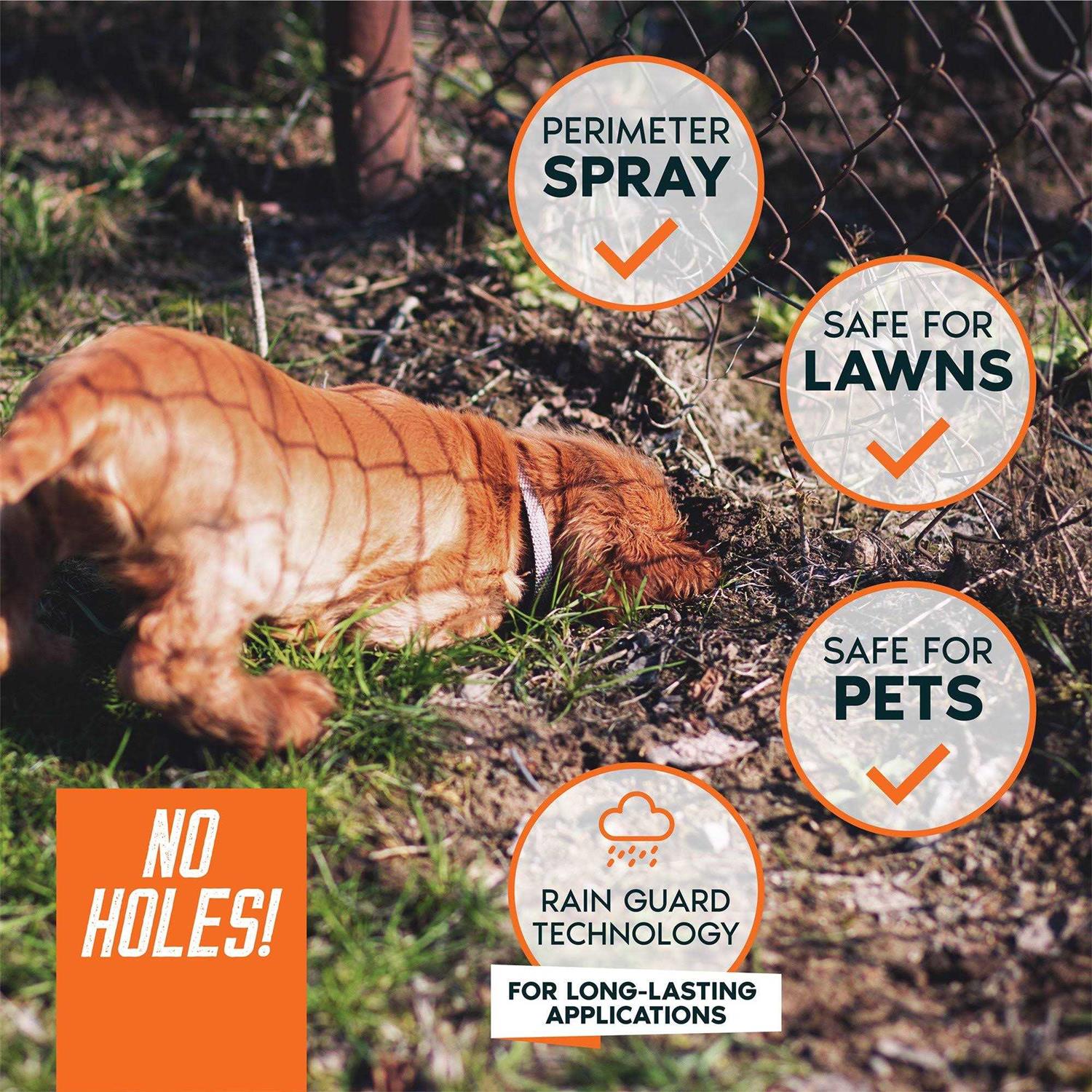 Digging Dog Prevention Spray B4320