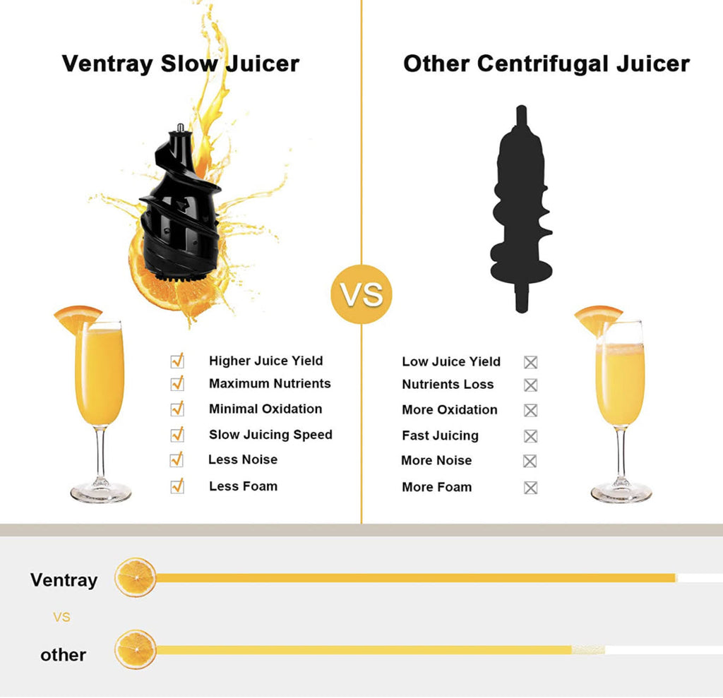 Black Masticating Juicer V943612