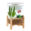 Bamboo Baseal Aquarium W4139