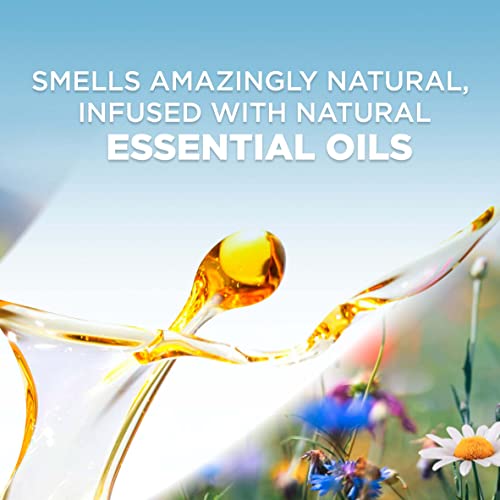 5 ct Plug in Scented Oil Refill V99454