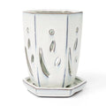 4" x 6" Hexagon Ceramic Orchid Pot N13304