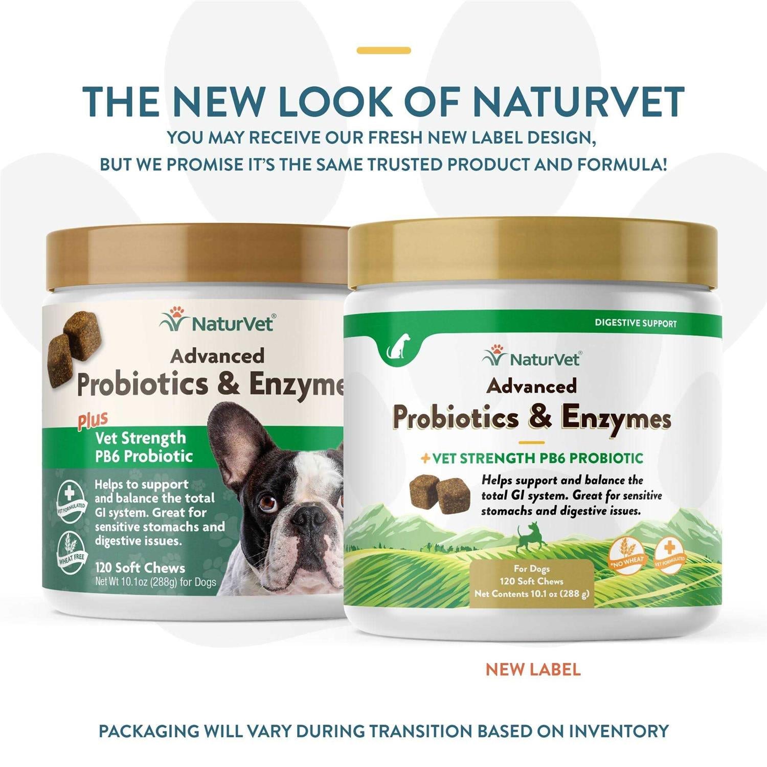 Advanced Probiotics Enzymes Y582608