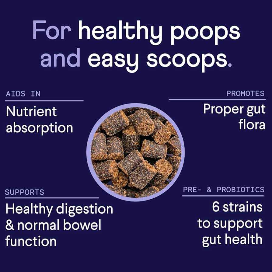 Finn Digestive Probiotics Supplement for Dogs W9022