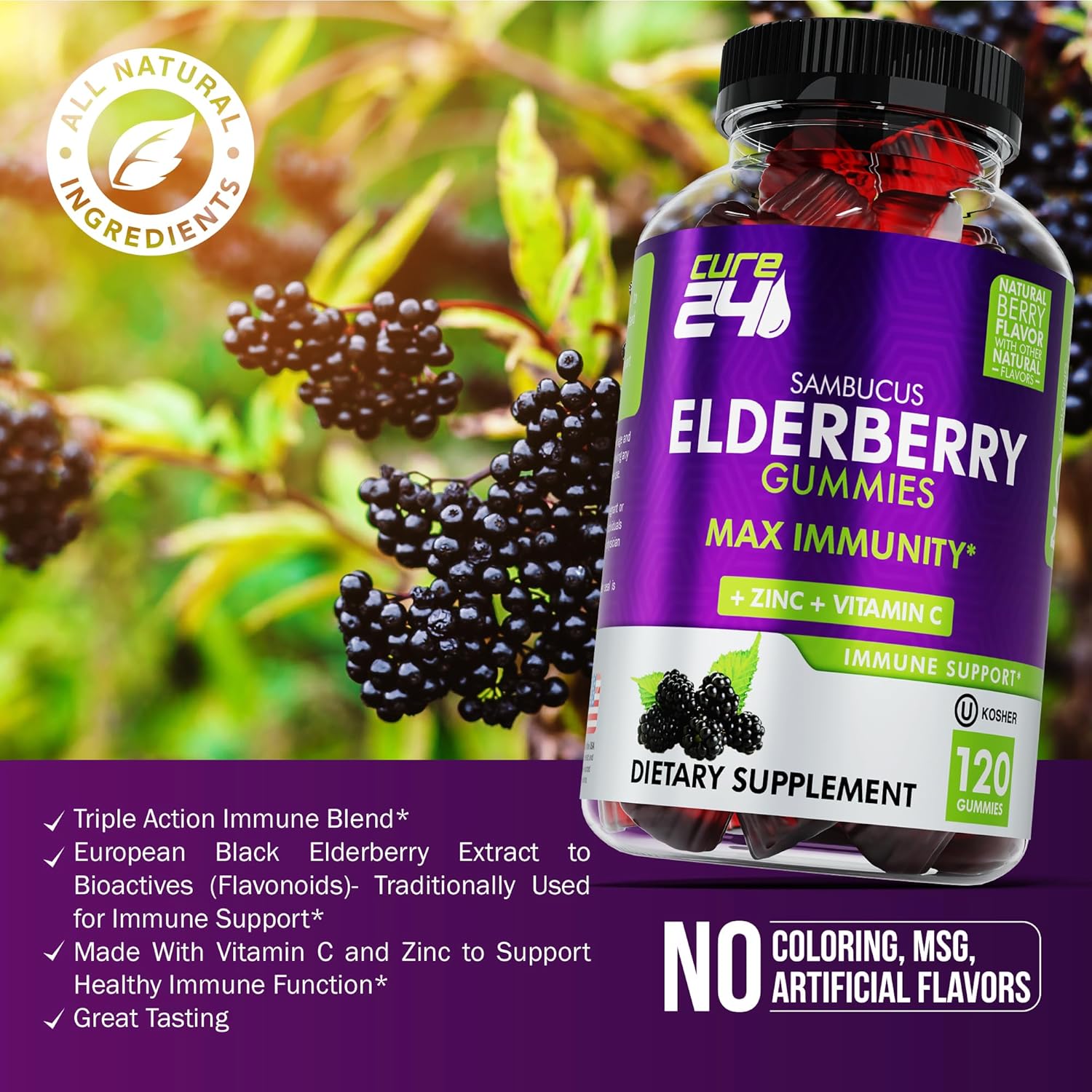 Elderberry Gummies with Vitamin C and Zinc 120 Count B555900