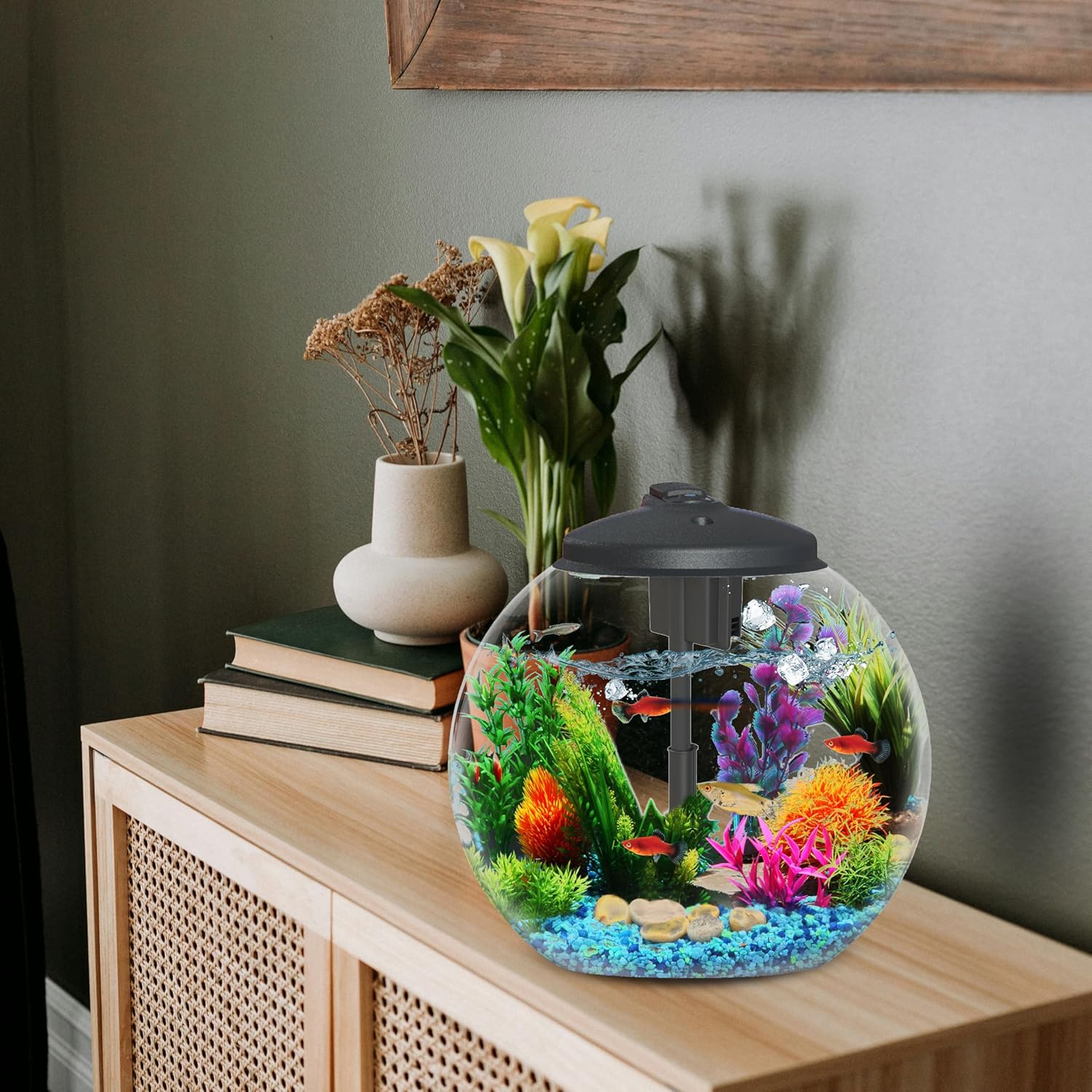 3 Gallon Fish Tank Starter Kit with Power Filter, LED Light, and Full Hood A815747