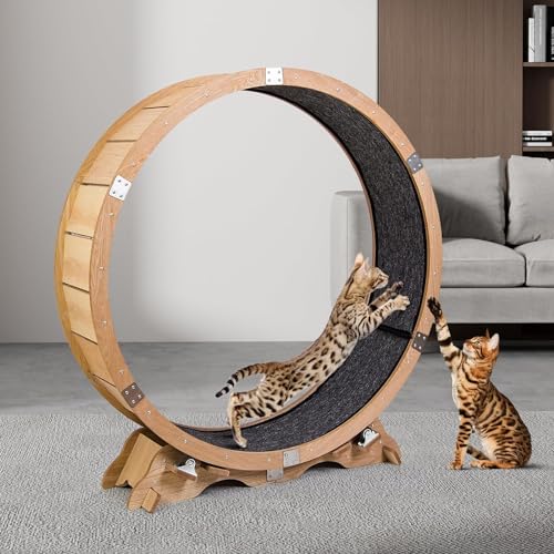 Maple Wood Cat Exercise Wheel F201