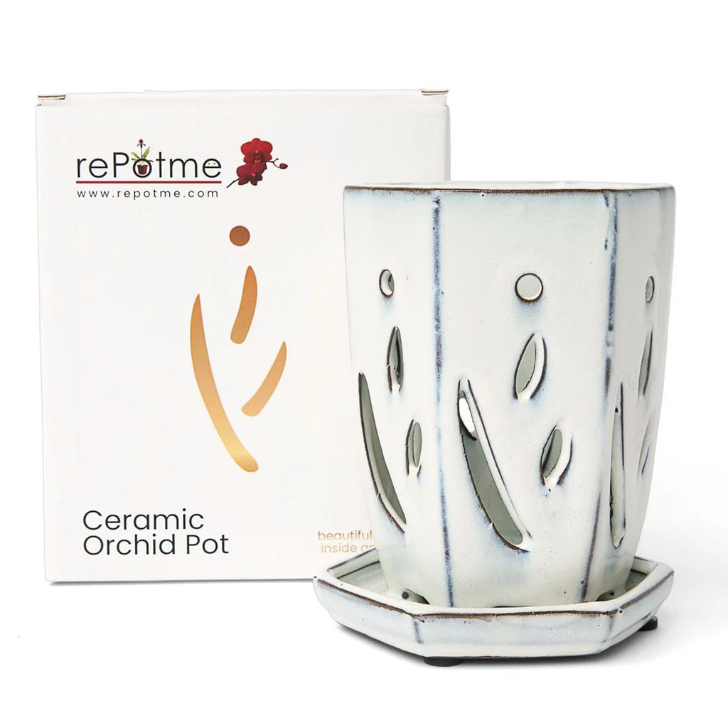 4" x 6" Hexagon Ceramic Orchid Pot N13304