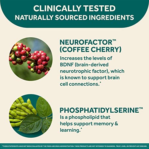 Caffeine Free Brain Supplement Capsules, 30ct Y84917