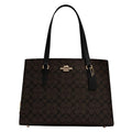 Brown Black Carryall F841