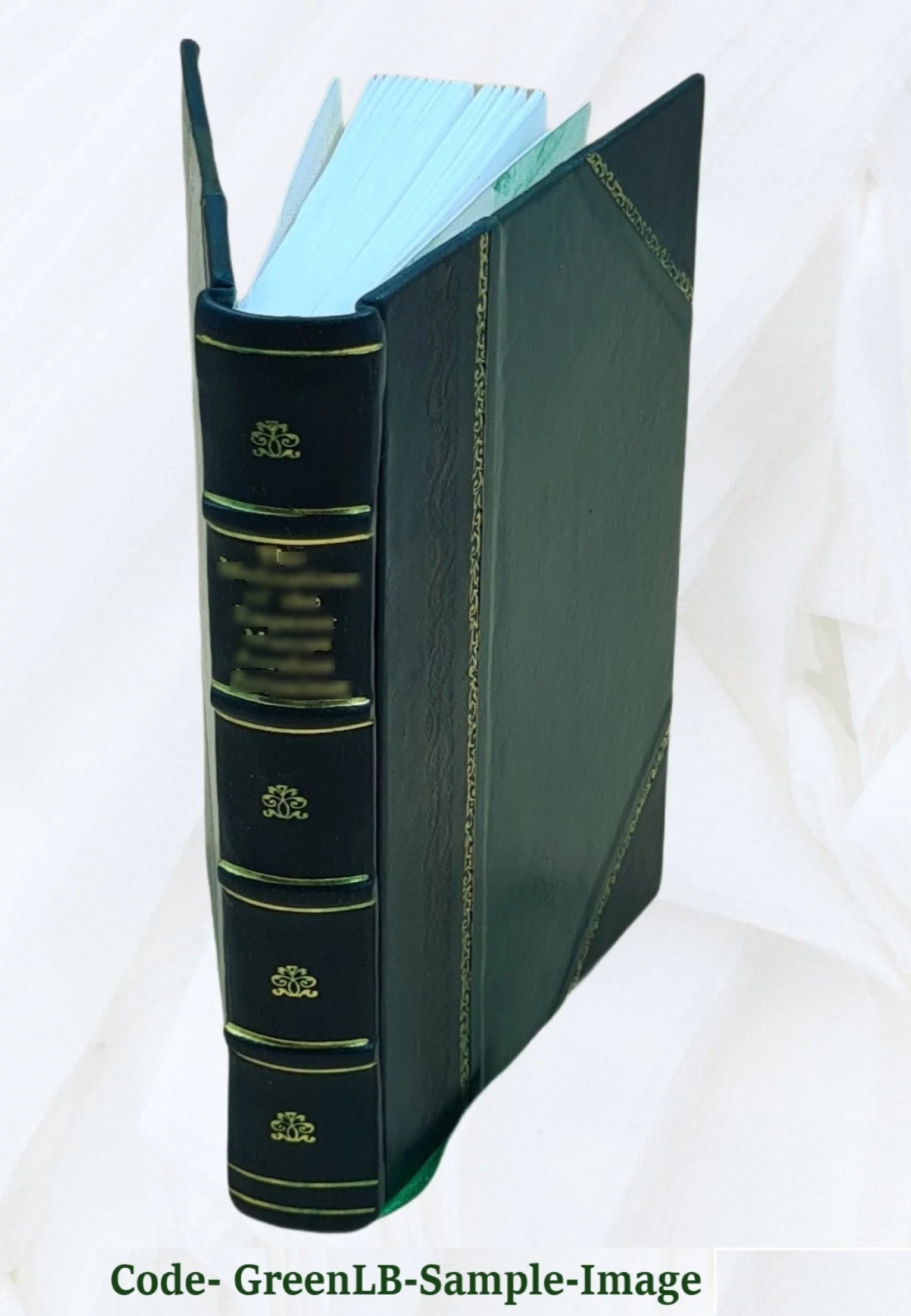 Leather Bound Book I4928