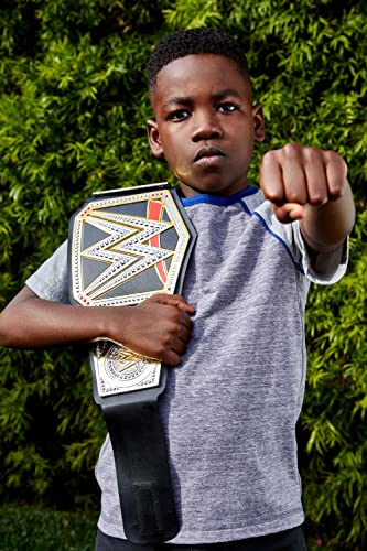 Championship Title Belt D353