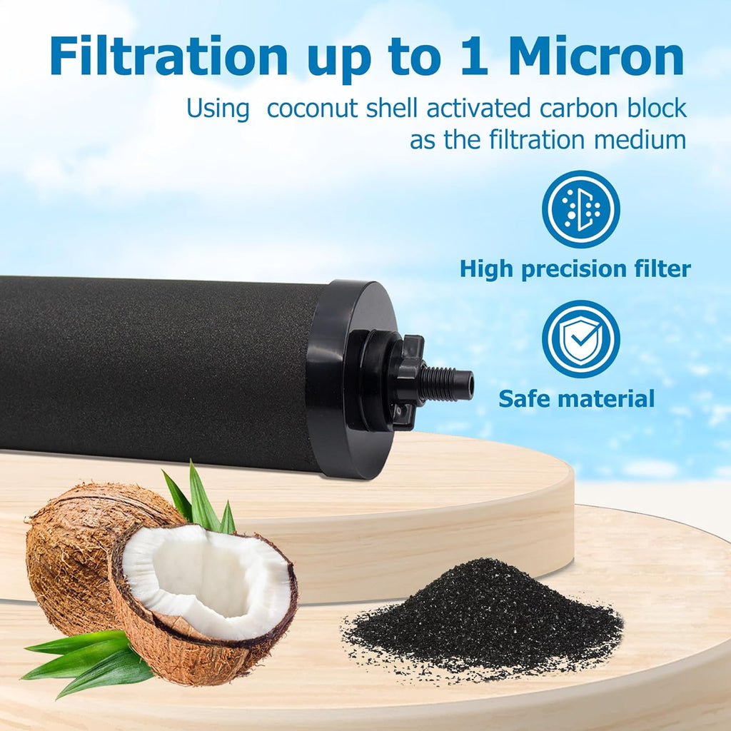 Black Activated Carbon Filters, Pack of 2 W879