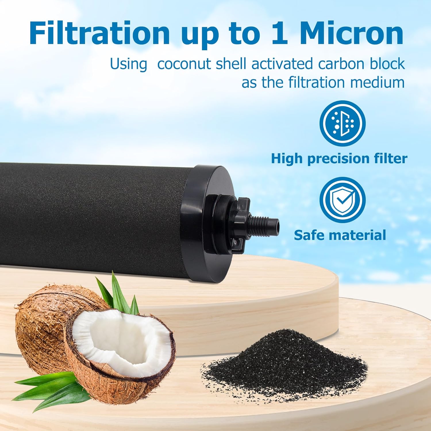 Black Activated Carbon Filters, Pack of 2 W879